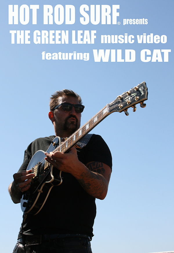 The Green Leaf Wild Cat Video